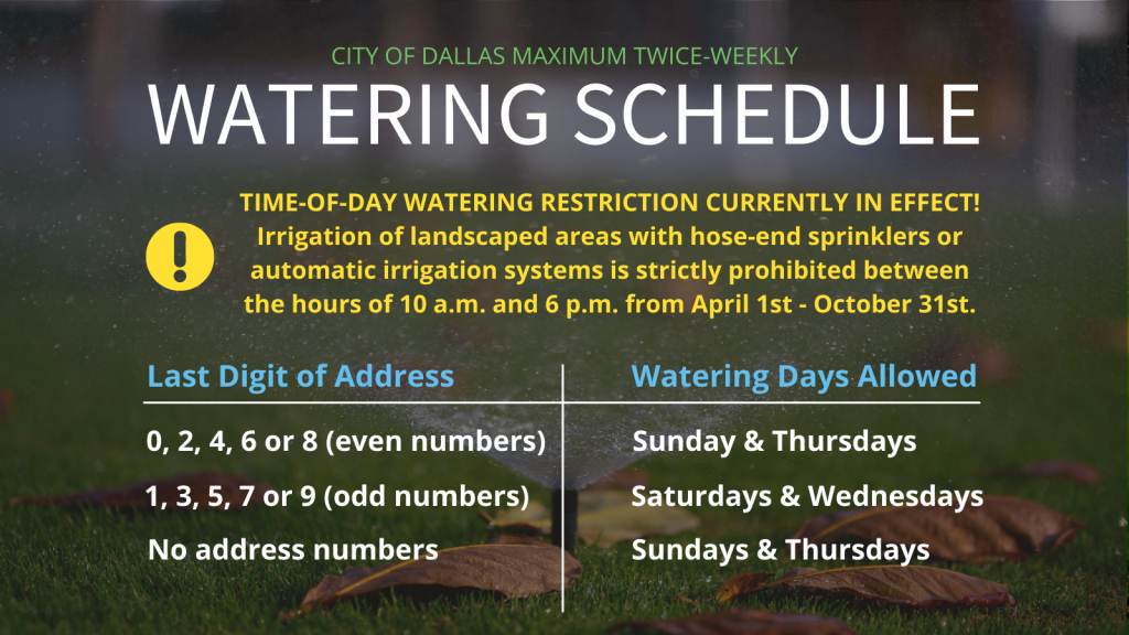 City Of Dallas Water Hours