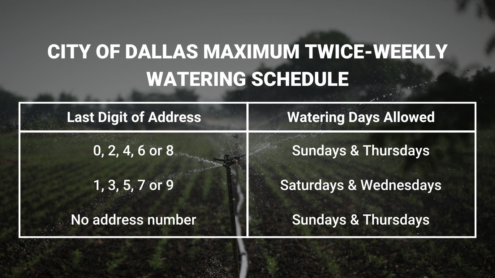 Watering Schedule